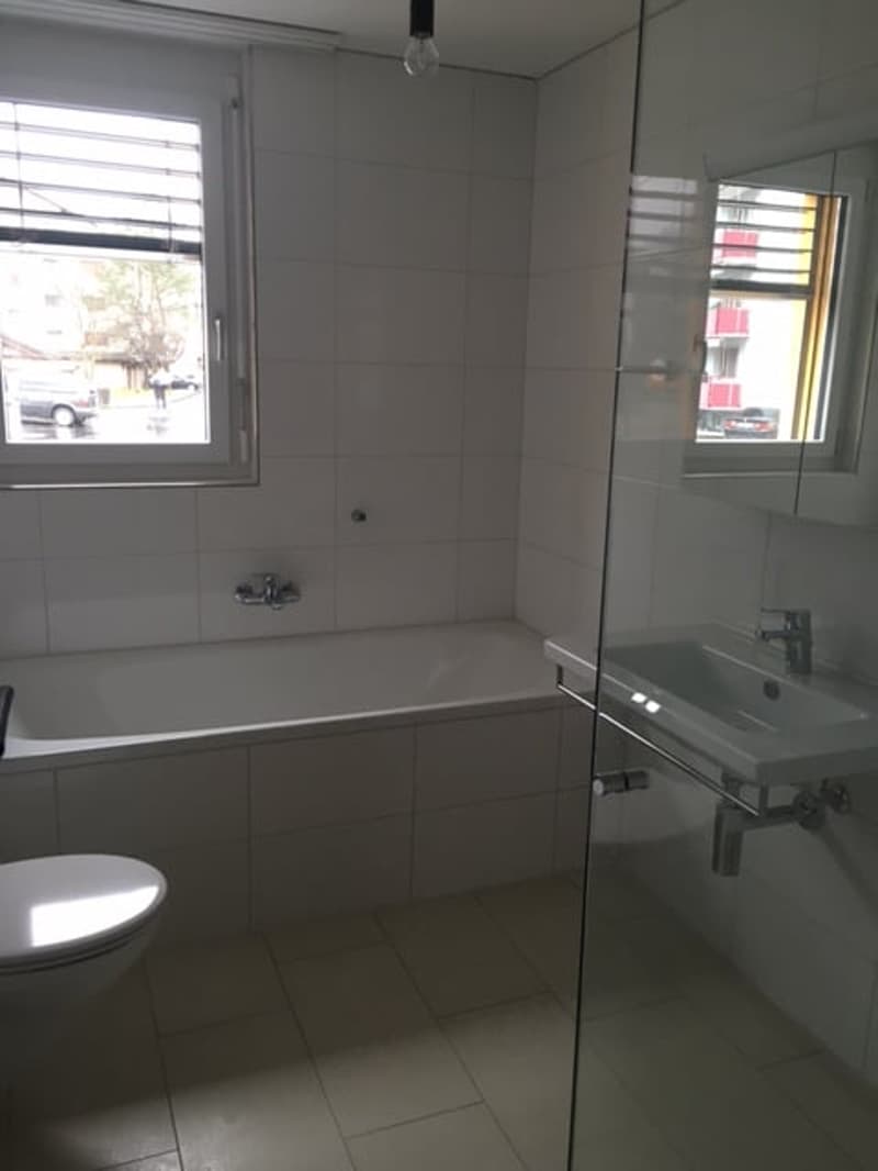 moderne 3½-Zimmerwohnung zu vermieten (4)