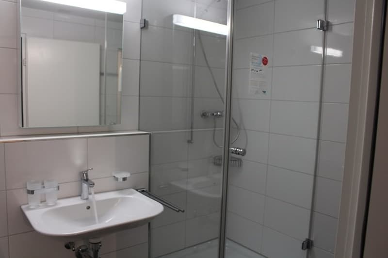 Neu sanierte 4-Zimmerwohnung zu vermieten (5)