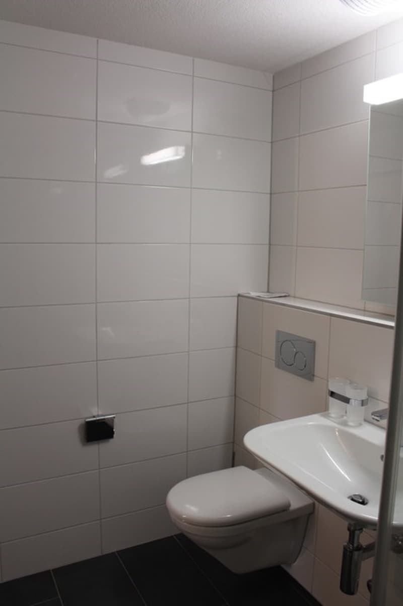 Neu sanierte 4-Zimmerwohnung zu vermieten (6)