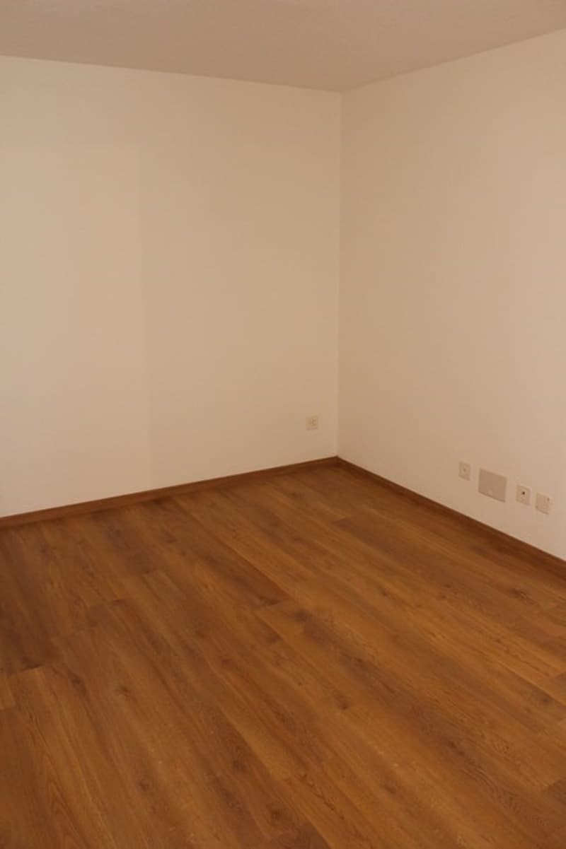 Neu sanierte 4-Zimmerwohnung zu vermieten (9)
