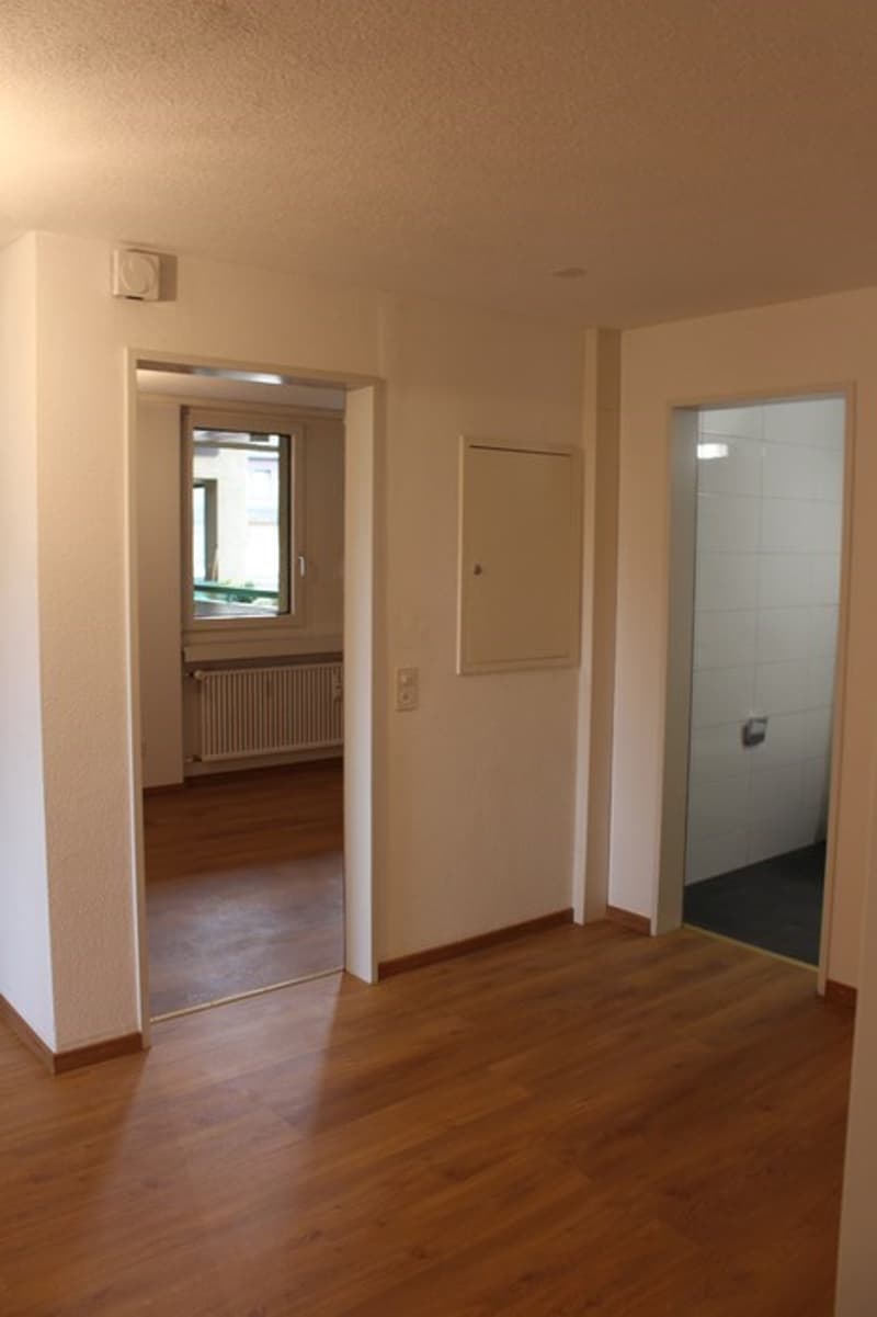 Neu sanierte 4-Zimmerwohnung zu vermieten (10)
