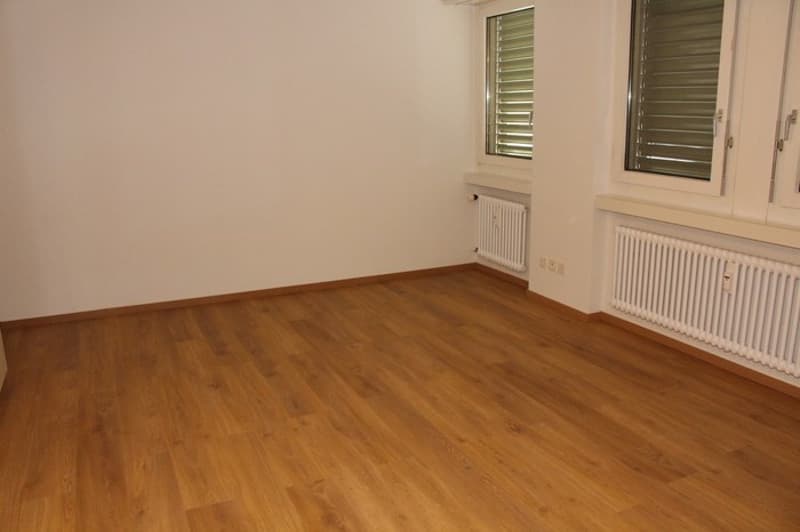 Neu sanierte 4-Zimmerwohnung zu vermieten (8)
