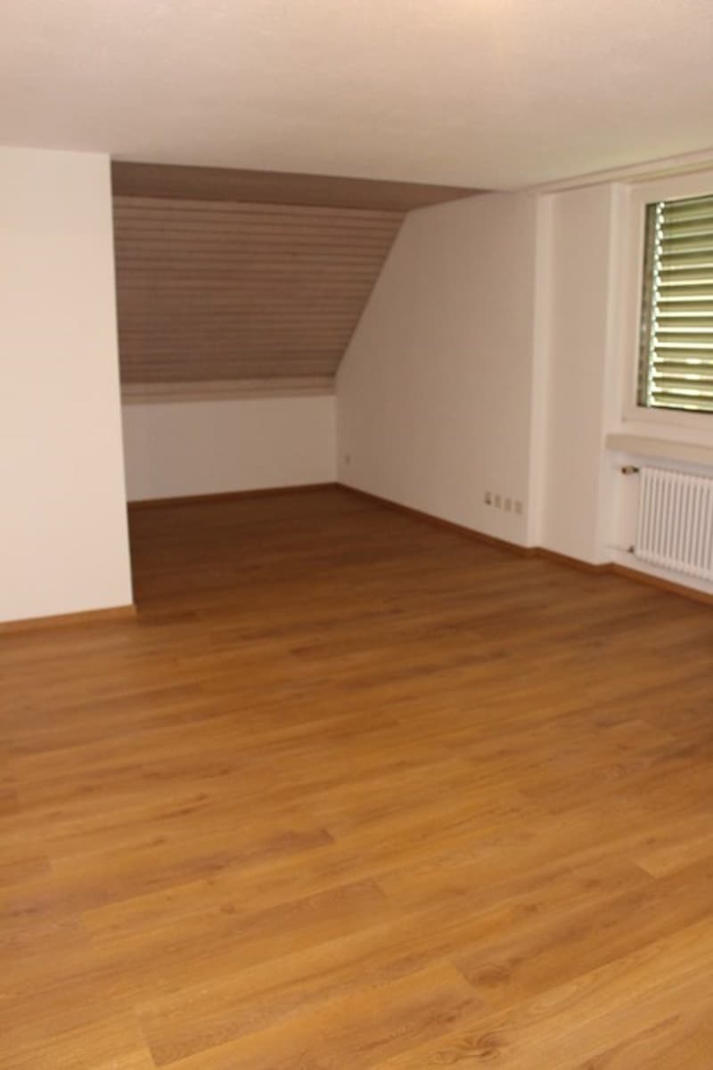 Neu sanierte 4-Zimmerwohnung zu vermieten (7)