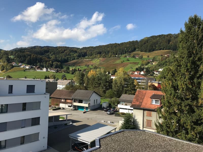The image shows a scenic rural landscape with rolling hills, forests, and a small village nestled in the valley. The view includes residential buildings, some with balconies or terraces, surrounded by lush greenery and a picturesque countryside setting.