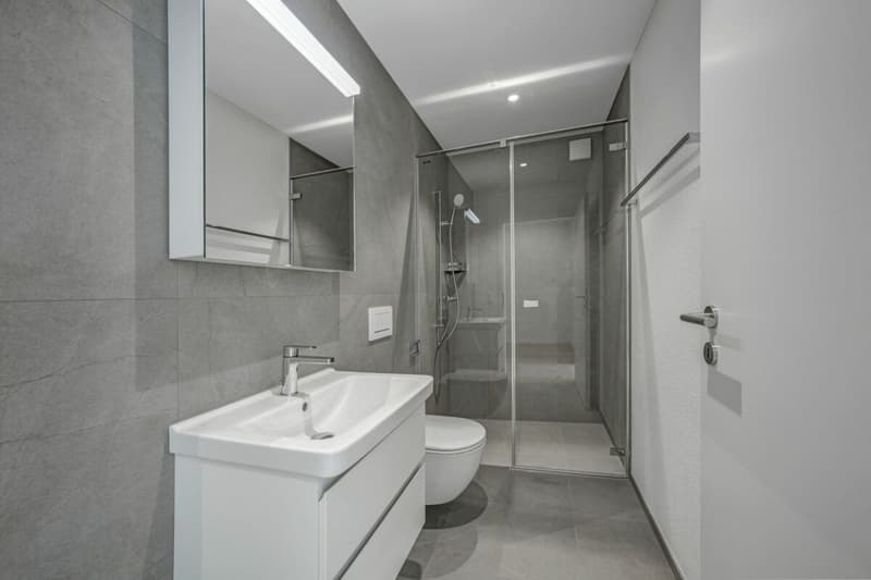 Modern semi-detached house in a green area with a view of Säntis - ready for occupancy (12)