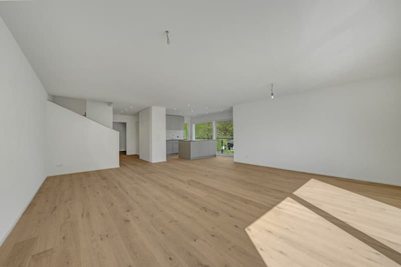Modern semi-detached house in a green area with a view of Säntis - ready for occupancy (4)