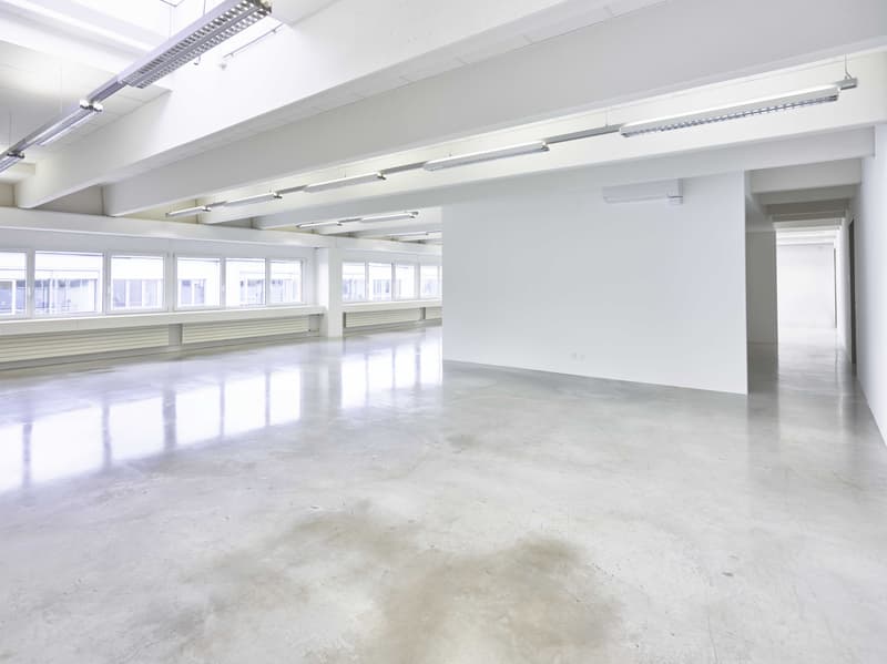 Espace de bureau sur 240m2 - entièrement équipé et climatisé (4)