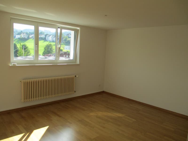 * GEMÜTLICHE DACHWOHNUNG * (2)