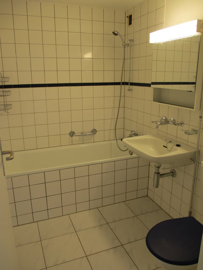 * GEMÜTLICHE DACHWOHNUNG * (6)
