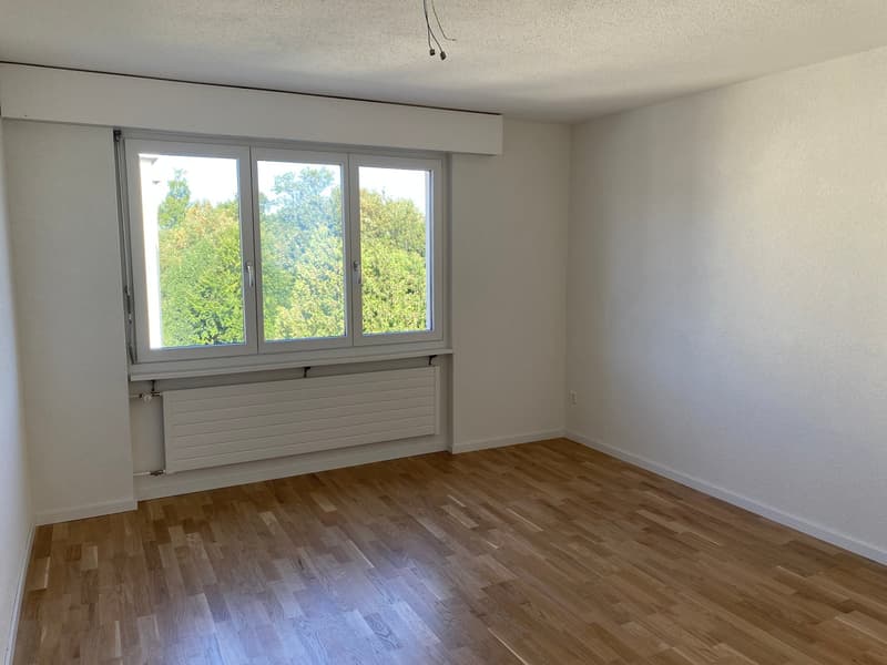 *Frisch renovierte 3-Zimmerwohnung mit zwei Balkonen* (5)
