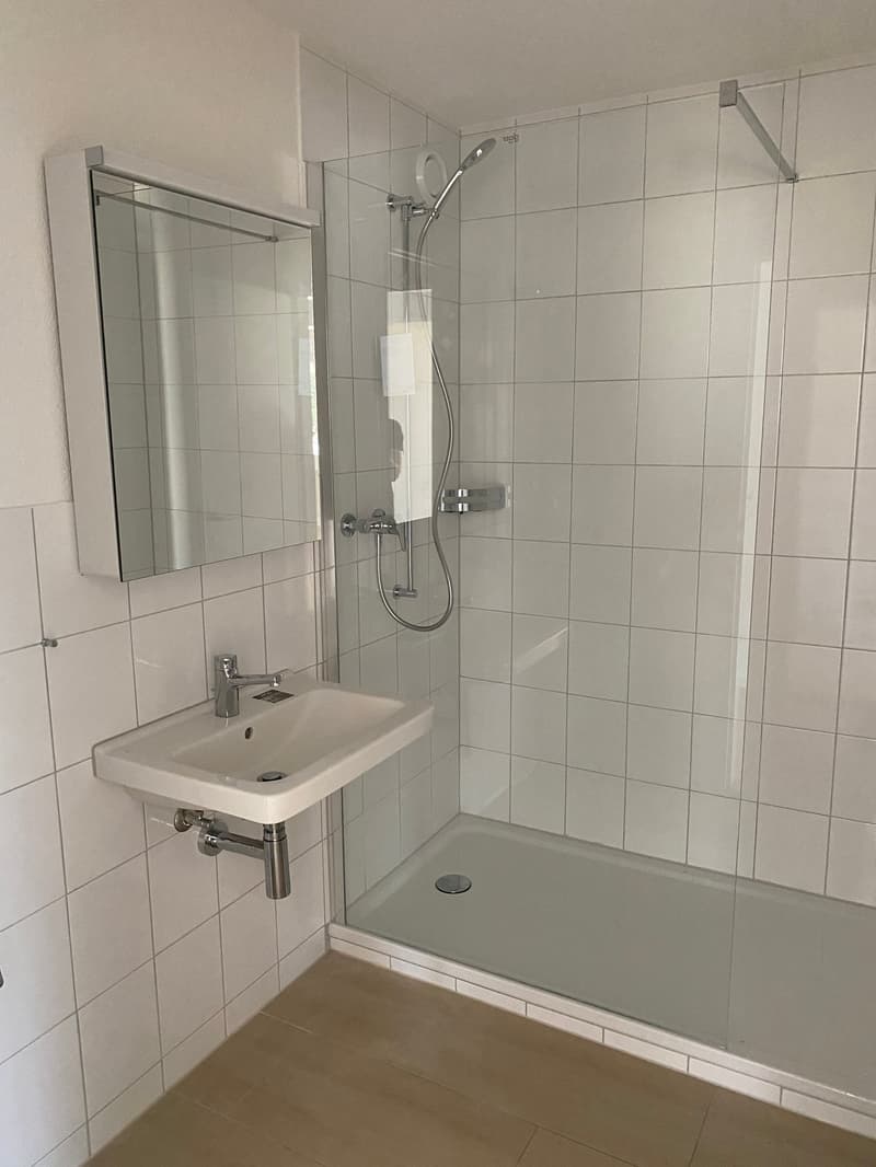 *Frisch renovierte 3-Zimmerwohnung mit zwei Balkonen* (8)