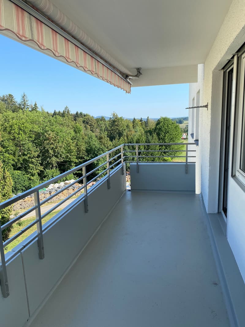 *Frisch renovierte 3-Zimmerwohnung mit zwei Balkonen* (12)