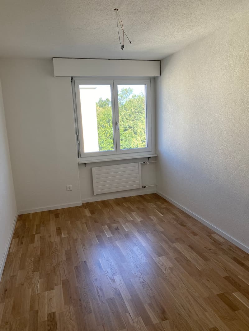 *Frisch renovierte 3-Zimmerwohnung mit zwei Balkonen* (6)