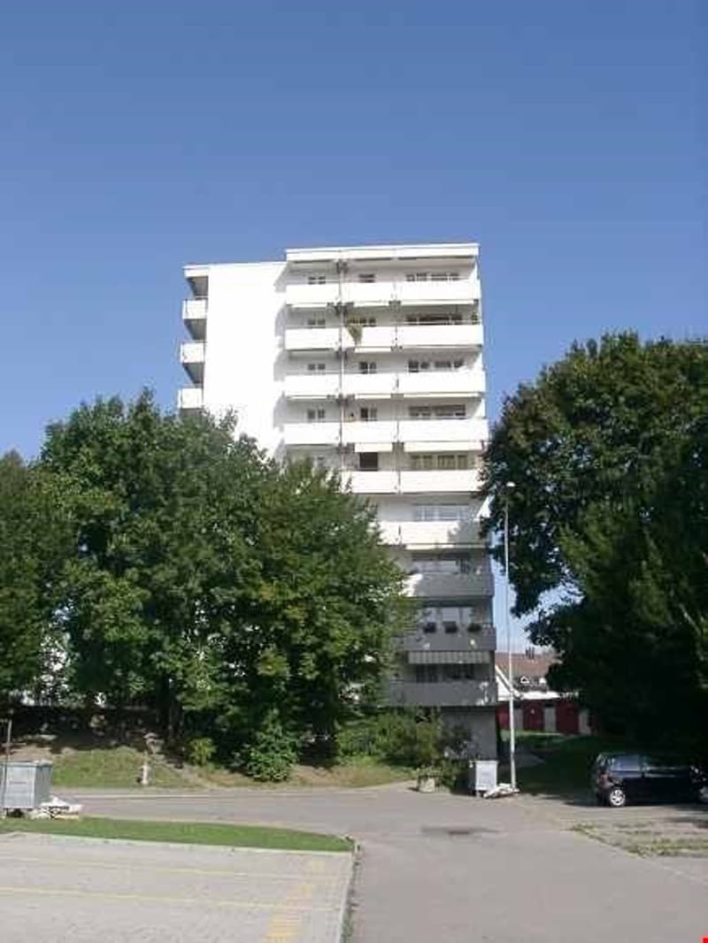 *schöne 1 1/2 -Zimmerwohnung mit Balkon mit toller Aussicht* (1)