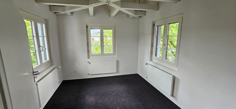 Grosszügiger Gewerberaum inkl. Parkplatz – zentral in Aadorf gelegen (4)