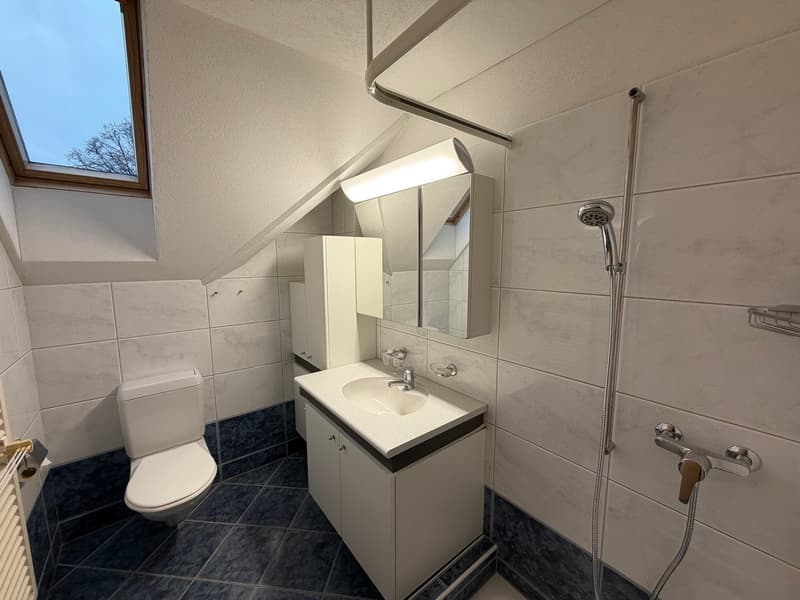 Grosszügige 5.5-Zimmer-Maisonettewohnung zum Wohlfühlen (4)
