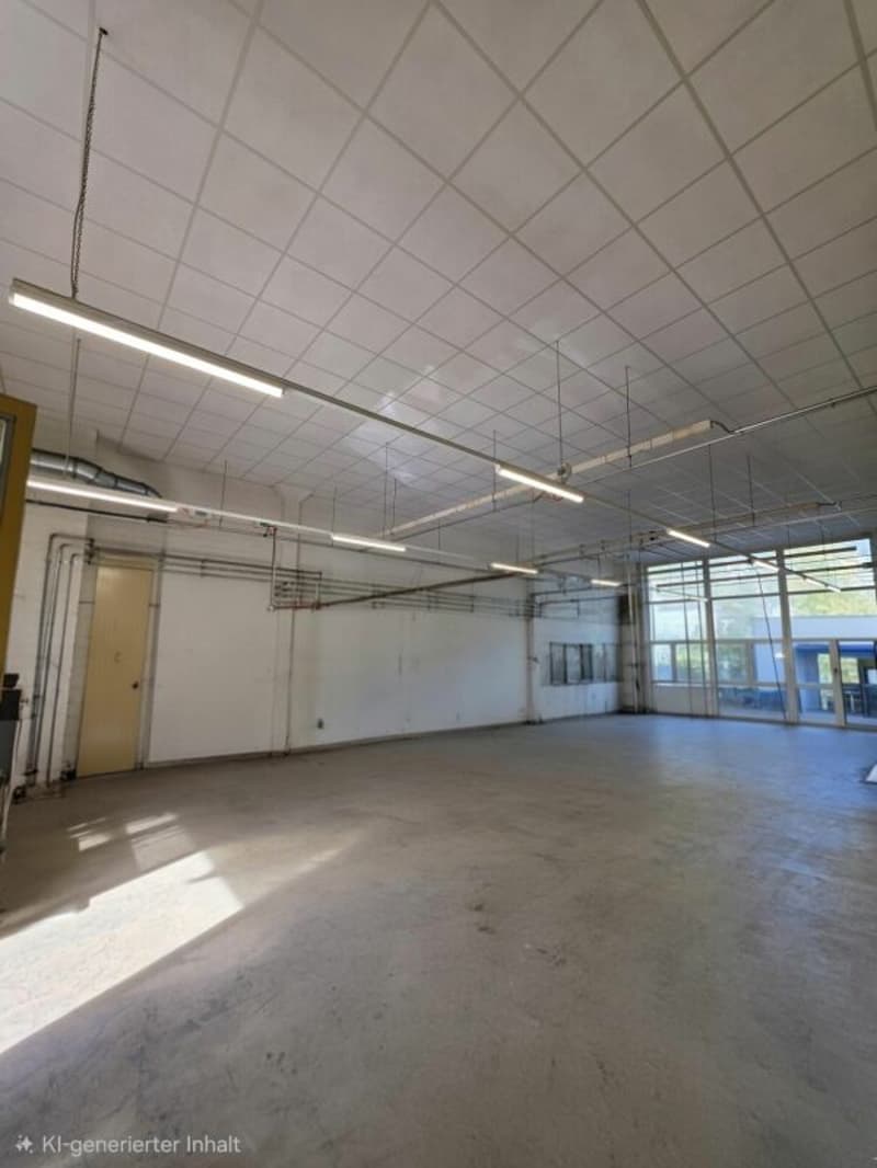 Lager/Werkstatt 230m2 (3)