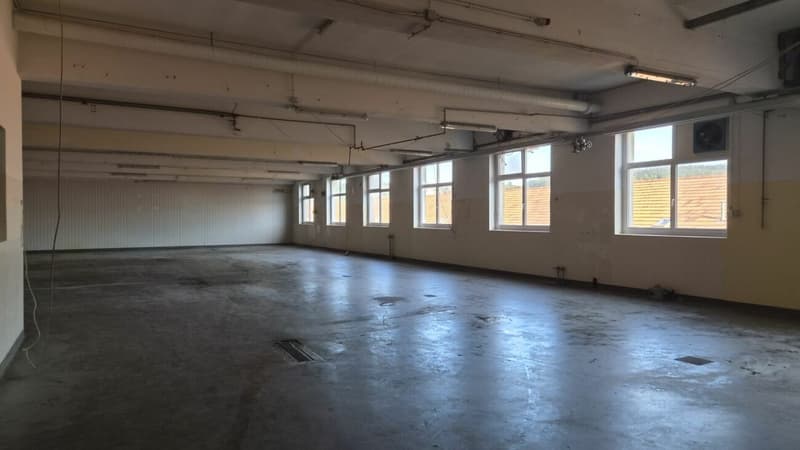 Flexible Gewerbeflächen von 50 m2 bis 900 m2 (4)