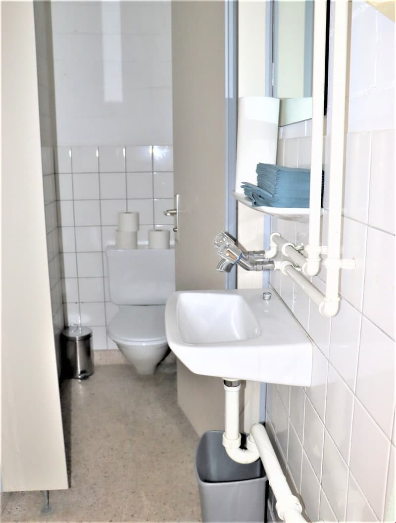 Tiled bathroom with a white sink, toilet, and storage shelves. The bathroom appears to have a private washing machine.