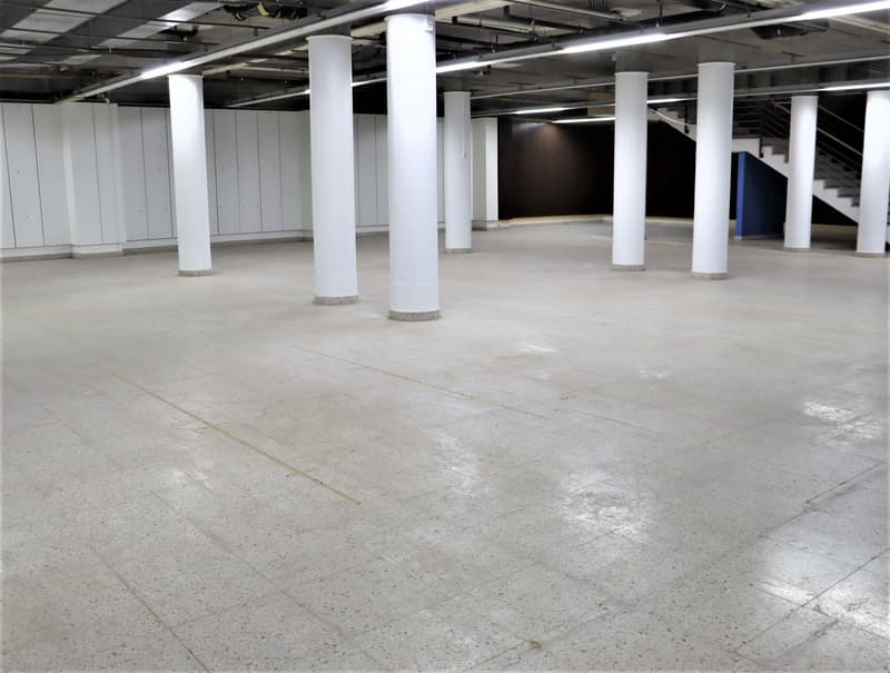 Large open space with concrete flooring, white support columns, and overhead lighting. The space appears to be empty and unfinished, likely a warehouse or industrial facility.