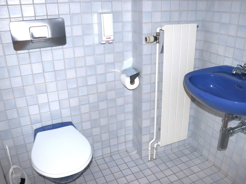 A bathroom with white tiled walls, a blue sink, white toilet, a white toilet paper holder, and a silver toilet brush. There is also a white heater on the wall.