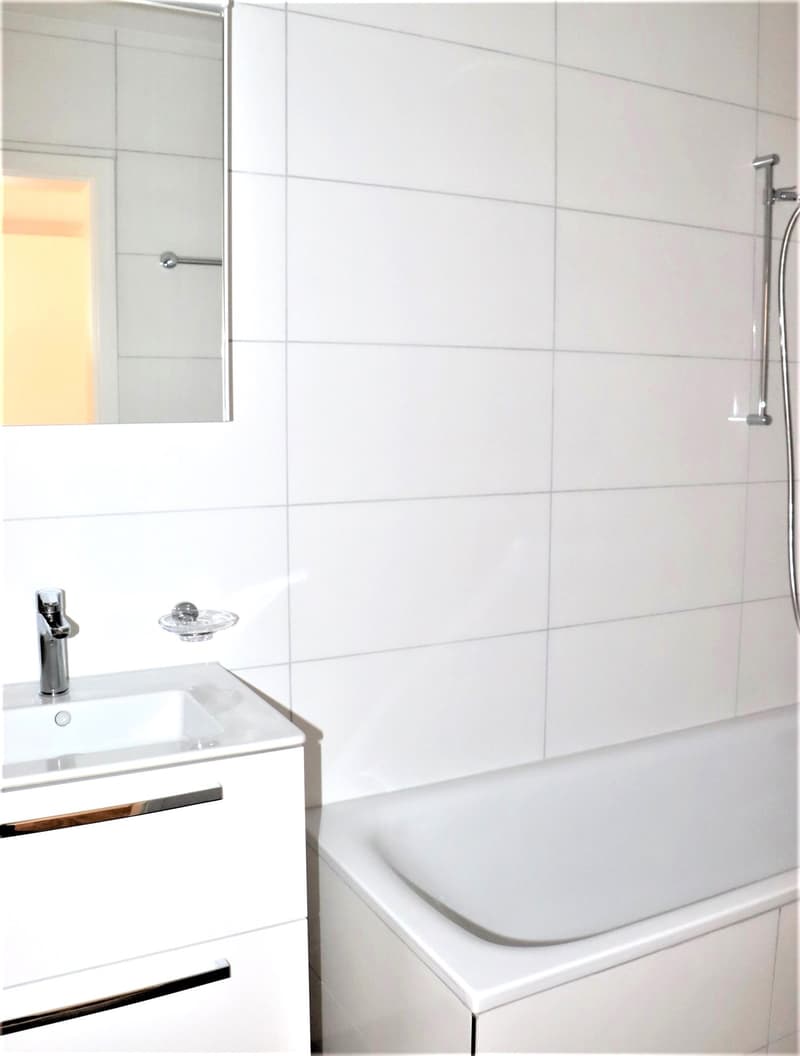 helle, moderne 1 Zi.-Wohnung mit Balkon (4)