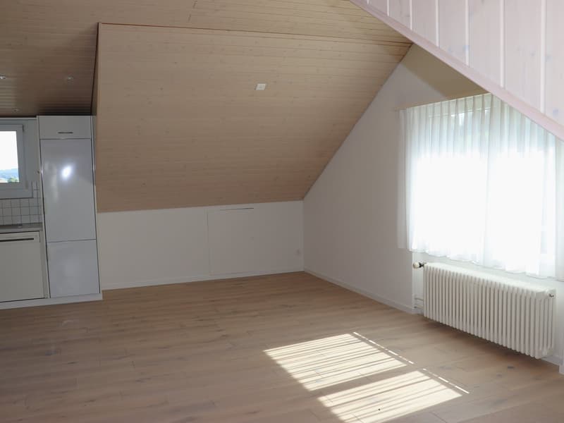 originelle 3.5 Zi.-DACH-Wohnung mit Balkon (4)
