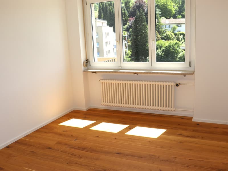 Erstvermietung nach Totalsanierung - grosszügige 2.0 Zi.-Wohnungen mit Balkon (6)