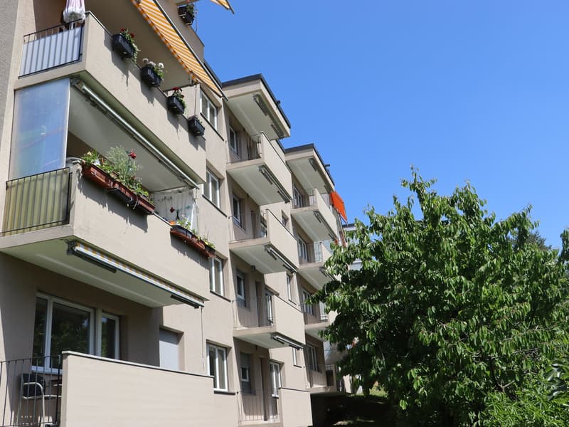Erstvermietung nach Totalsanierung - grosszügige 2.0 Zi.-Wohnungen mit Balkon (1)
