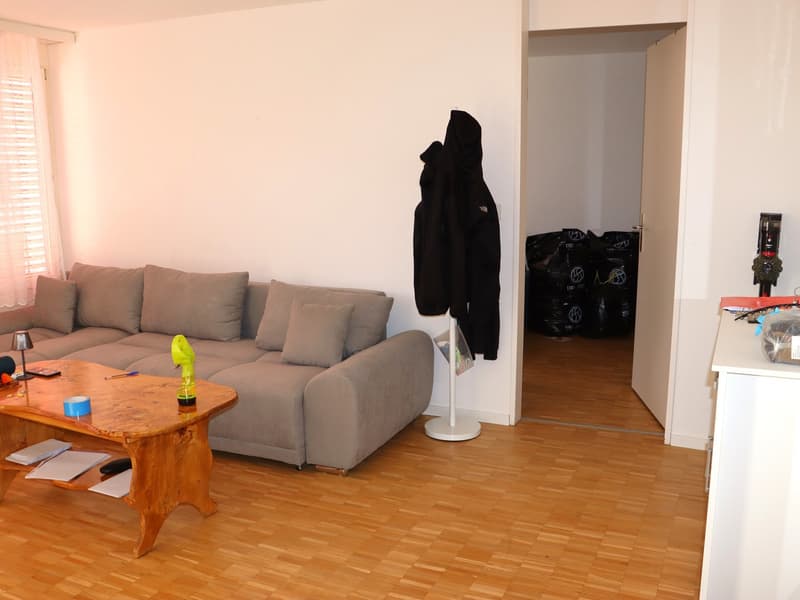 neu renovierte 1.5 Zi.-Wohnung an TOP-Lage (3)