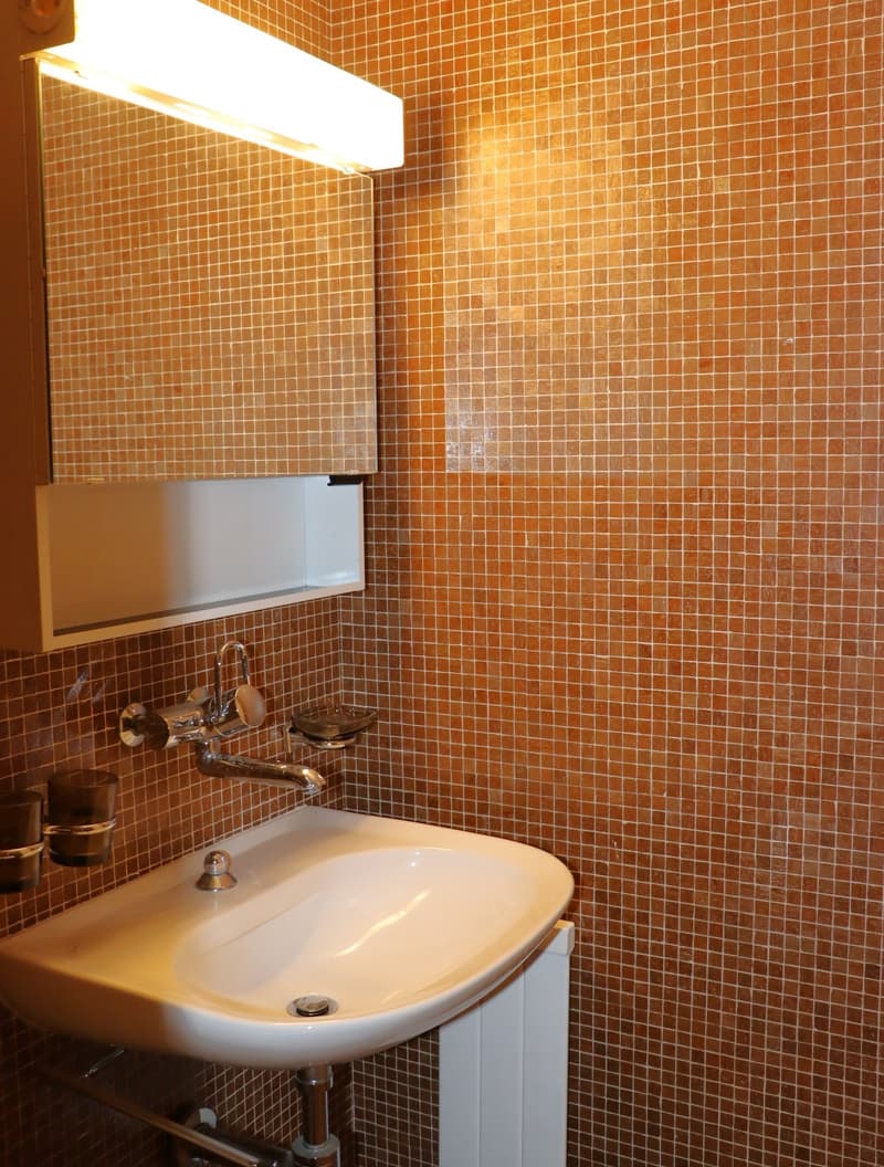gemütliche 1.0 Zi.-Wohnung an bester Lage (6)