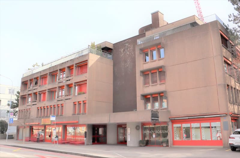gemütliche 1.0 Zi.-Wohnung an bester Lage (8)