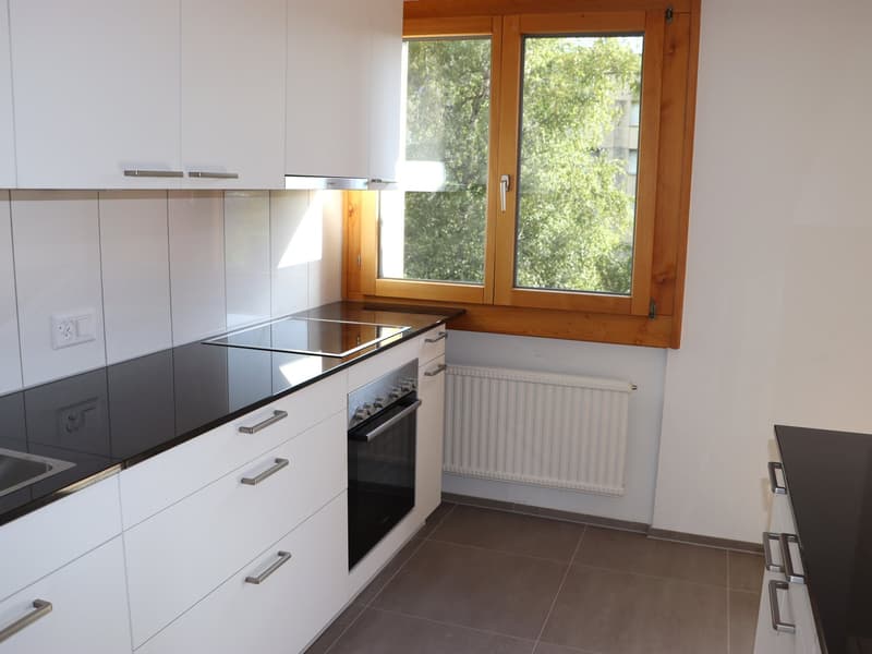 neu renovierte 3.5 Zi.-Wohnung mit Terrasse und Balkon (2)