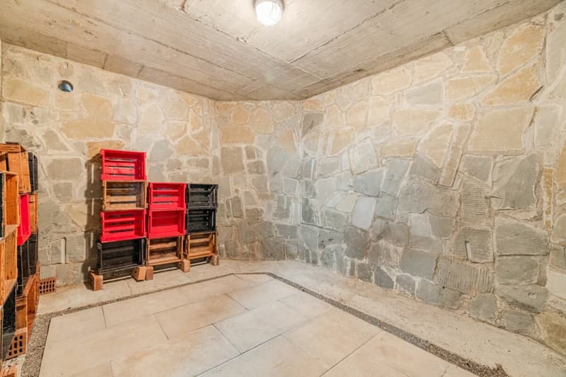 Repräsentative und einmalige Villa an Top-Wohnlage mit attraktiver Seesicht und Einliegerwohnung (55)
