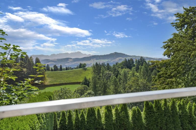 Wohnen wie im Einfamilienhaus! Riesige, gepflegte Maisonette-Wohnung mit Alpsteinpanorama und Schwimmbad (2)