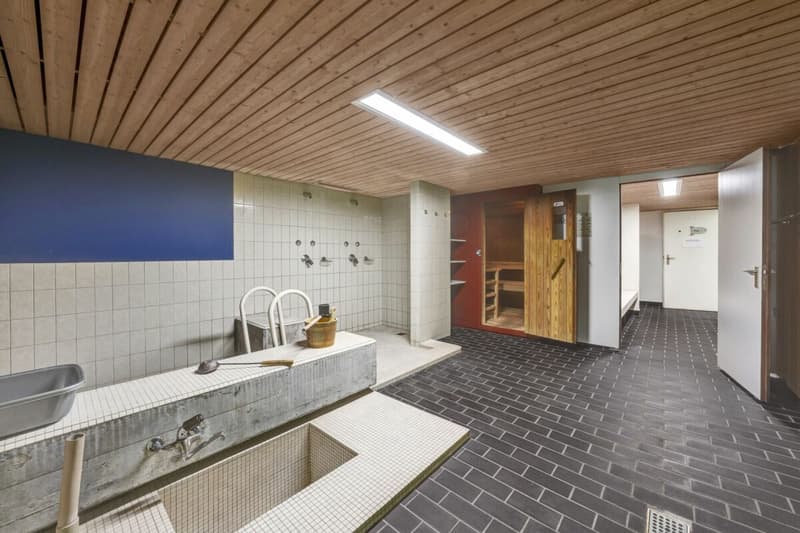 Wohnen wie im Einfamilienhaus! Riesige, gepflegte Maisonette-Wohnung mit Alpsteinpanorama und Schwimmbad (52)