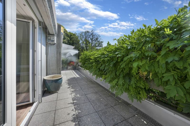 Wohnen wie im Einfamilienhaus! Riesige, gepflegte Maisonette-Wohnung mit Alpsteinpanorama und Schwimmbad (25)