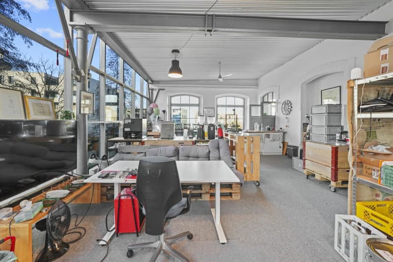 Einzigartiges, historisches Loft-Haus mit Seesicht und viel Raum zum Wohnen und Arbeiten (55)