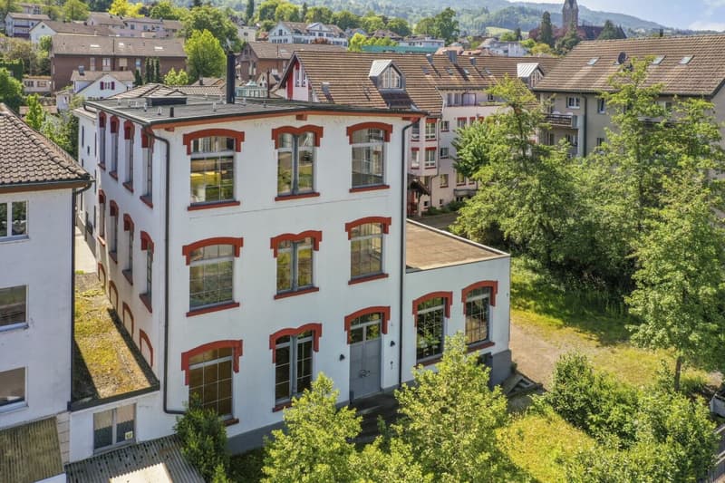 Einzigartiges, historisches Loft-Haus mit Seesicht und viel Raum zum Wohnen und Arbeiten (75)