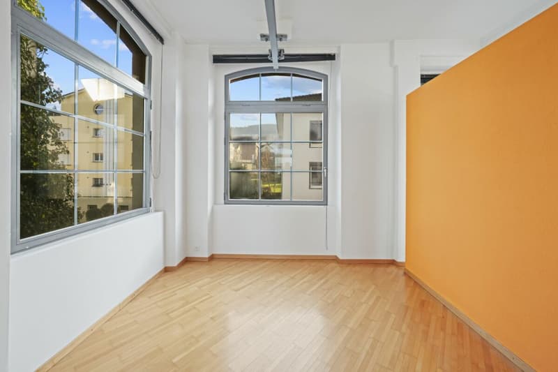 Einzigartiges, historisches Loft-Haus mit Seesicht und viel Raum zum Wohnen und Arbeiten (33)