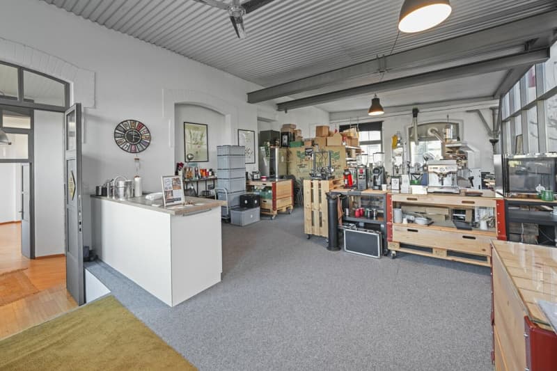 Einzigartiges, historisches Loft-Haus mit Seesicht und viel Raum zum Wohnen und Arbeiten (53)