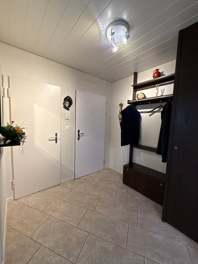 Charmante 4-Zimmer-Wohnung mit Balkon und Gartenbereich in Rapperswil-Jona (11)