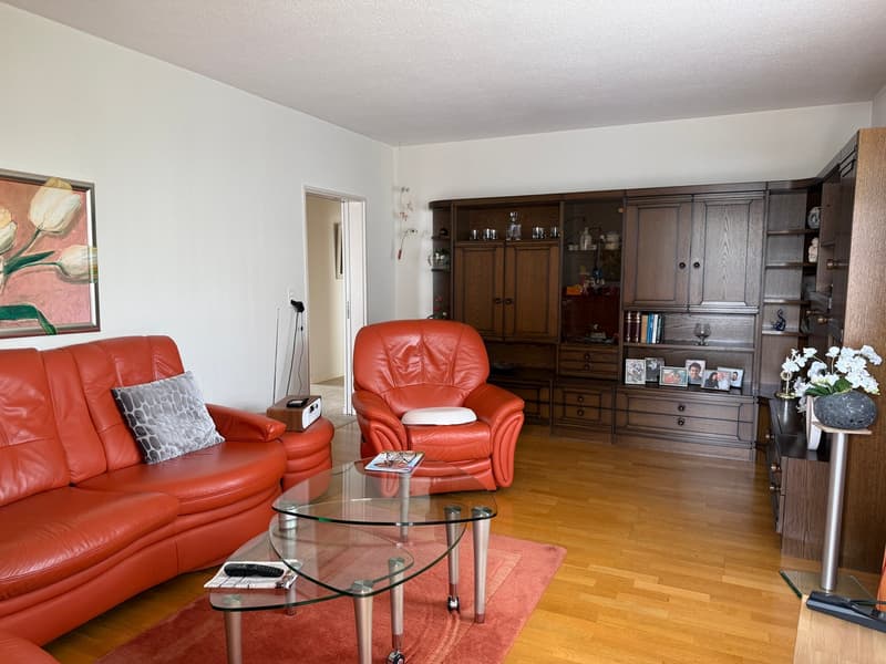 Charmante 4-Zimmer-Wohnung mit Balkon und Gartenbereich in Rapperswil-Jona (4)