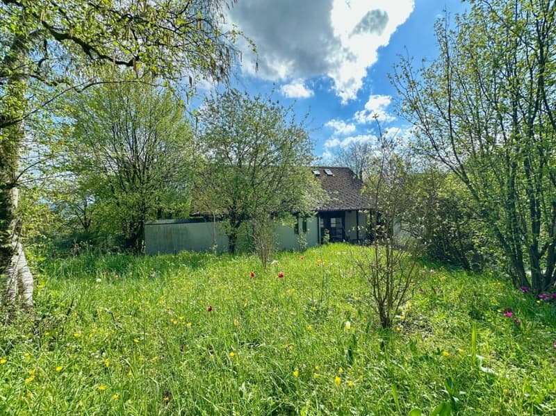 5.5-Zimmer Einfamilienhaus im Grünen - Ruhe und Lebensqualität pur (3)
