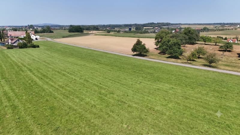 3.5-Zimmer-Gartenwohnung an ruhiger Naturlage (16)