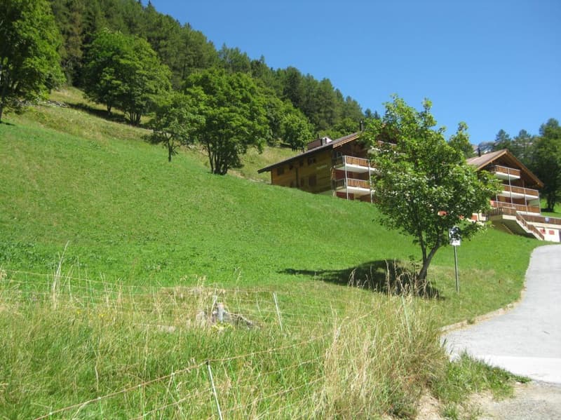 Exklusives Baugrundstück (3)