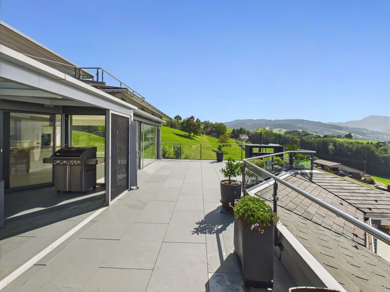 Exklusive Terrassenwohnung an wunderschöner Lage mit freier Sicht auf die Berge, die Linthebene und den Zürichsee (2)