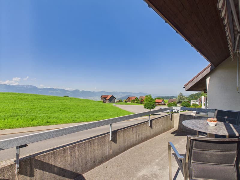 4.5-Zimmer-Haushälfte mit wunderschöner Berg- und Weitsicht im begehrten Uetliburg SG (3)