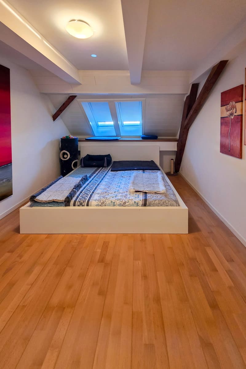 Wohnen mit Charakter – 6.5-Zimmer-Maisonette mit grosser Terrasse (11)
