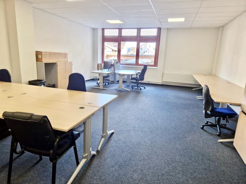 Privates, ruhiges Büro mit Co-Working-Space Charakter (1)